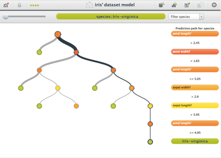 BigML model