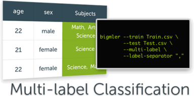 multi_label_classifications