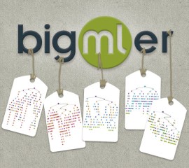 bigmler_tags