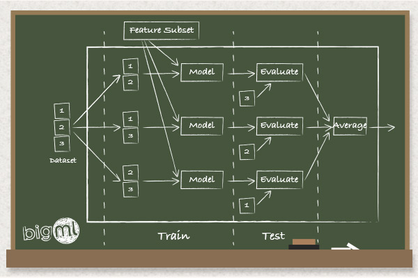 Feature Subset Selection