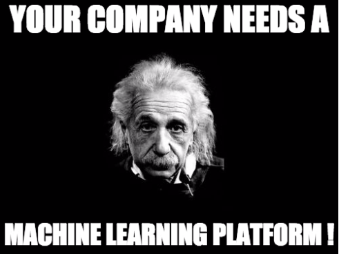 Your Company Needs a ML Platform!