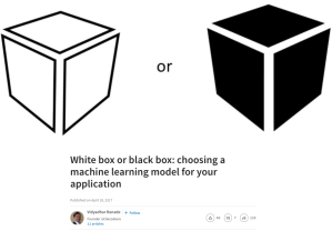 Black Box vs. White Box ML