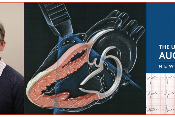 Dr. Patrick Gladding